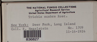 Image Associated With the Occurence